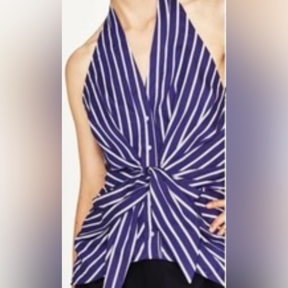 Zara Blue and White Striped Crop Top